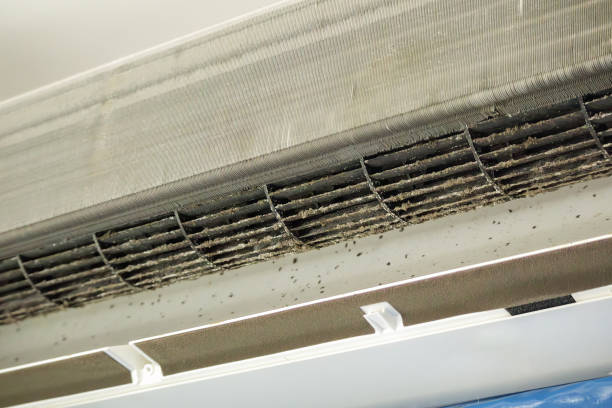 Best Affordable Duct Cleaning Services  in Avon, IN